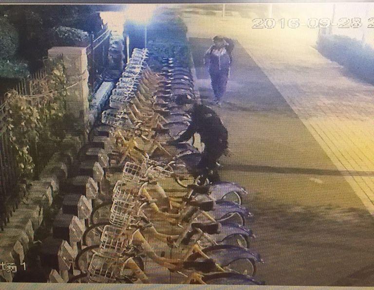 加拿大pc官网(中国游)有限公司官网