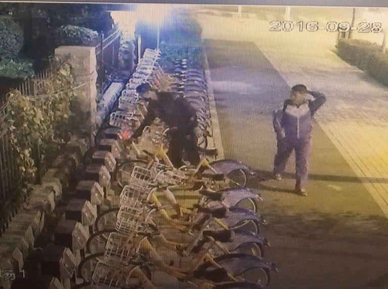 ���ô�pc����(�й���)���޹�˾����