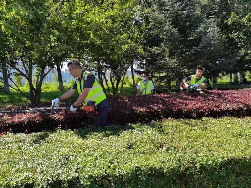 加拿大pc官网(中国游)有限公司官网