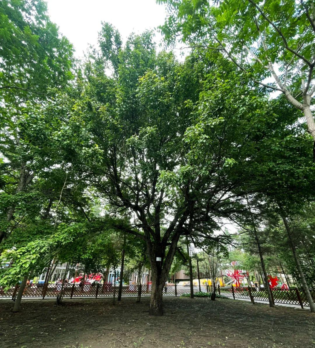 ���ô�pc����(�й���)���޹�˾����