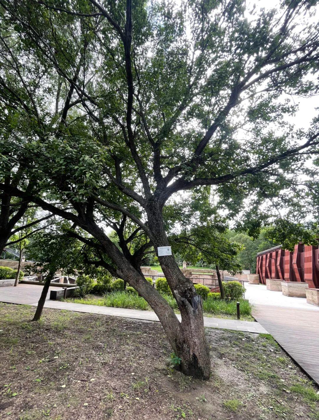 ���ô�pc����(�й���)���޹�˾����