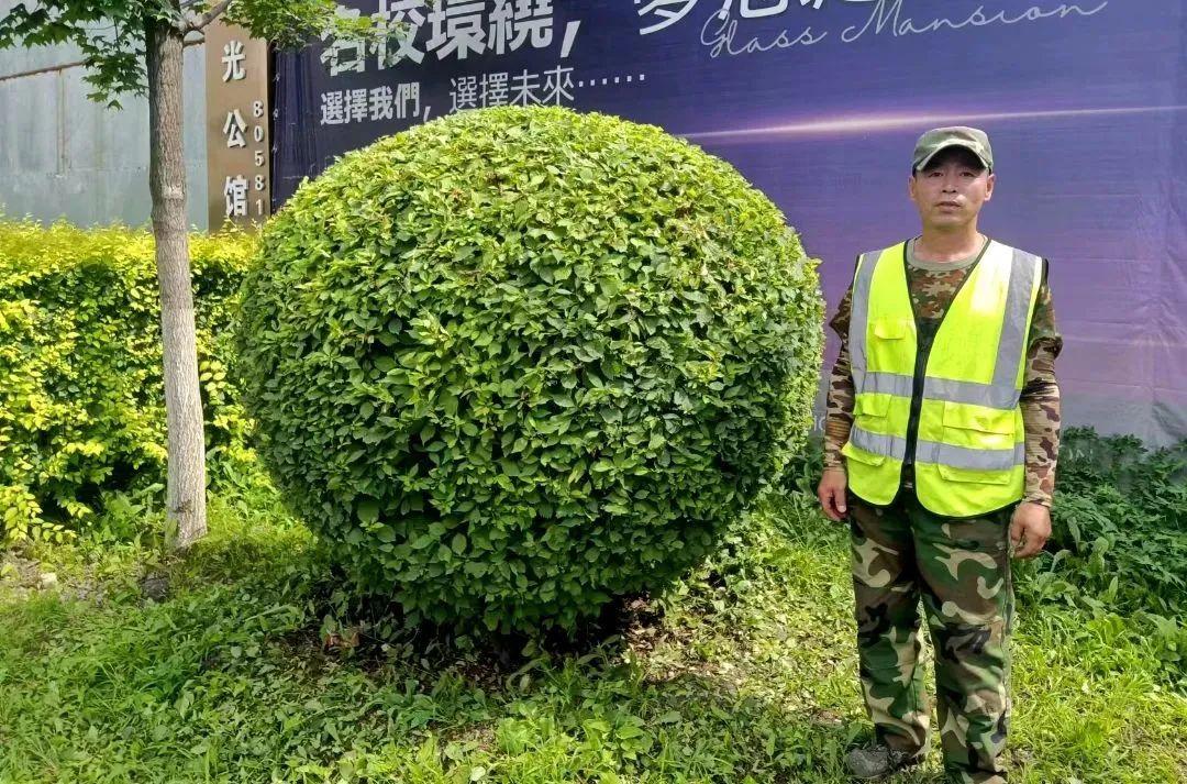 ���ô�pc����(�й���)���޹�˾����