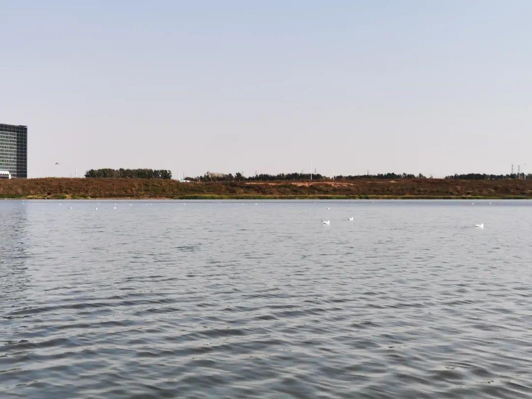 ���ô�pc����(�й���)���޹�˾����